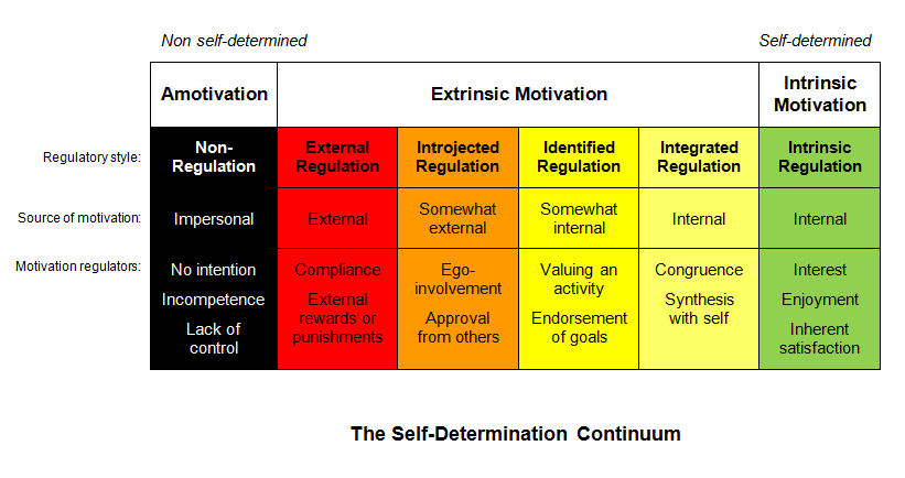 Image result for self-determination continuum